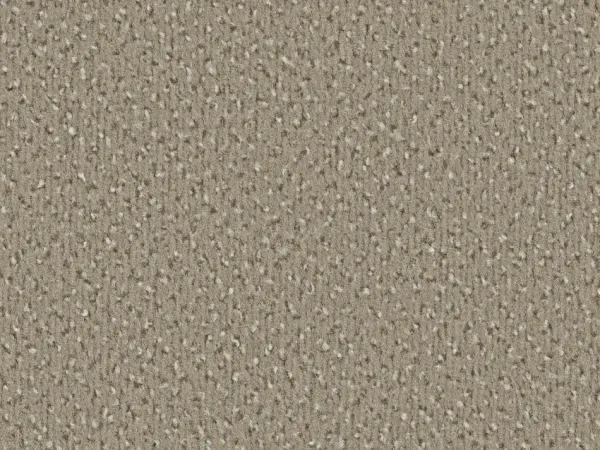 „Vorwerk Alexis Teppichboden in Beige – vielseitige Draufsicht mit dezenter Velours-Oberfläche“